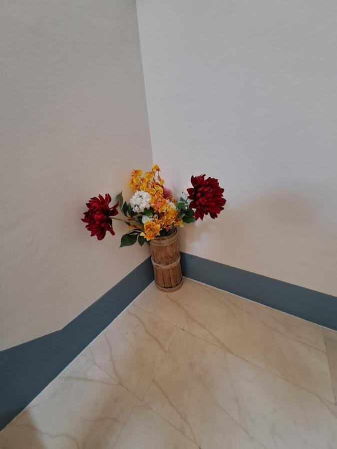 Sobe Mamalu Bed and Breakfast Valun Εξωτερικό φωτογραφία